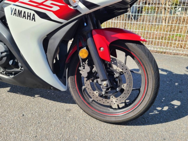 ���}�nYZF-R25�i���Q�����R�s�j�摜30