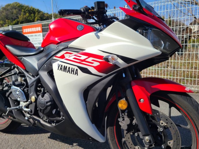 ���}�nYZF-R25�i���Q�����R�s�j�摜29