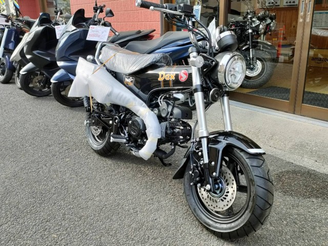 �z���_�_�b�N�X125�i���Q�����R�s�j�摜2