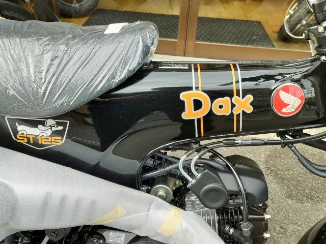 �z���_�_�b�N�X125�i���Q�����R�s�j�摜12