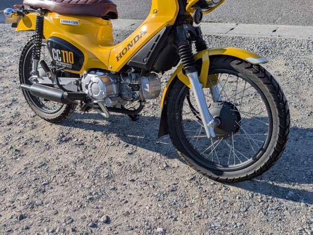 �z���_�N���X�J�u110�i��������s�j�摜12