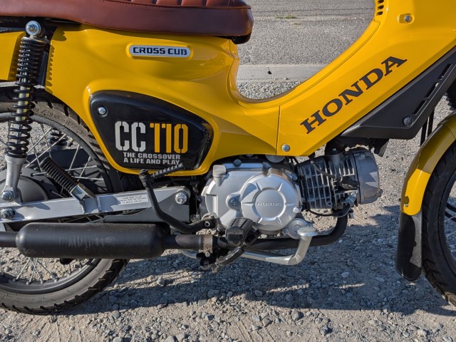 �z���_�N���X�J�u110�i��������s�j�摜28