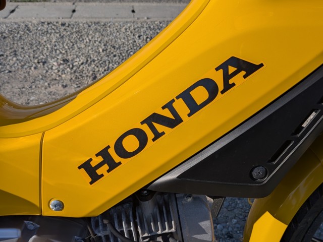 �z���_�N���X�J�u110�i��������s�j�摜29
