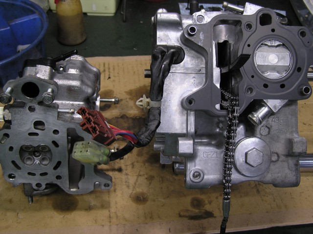 �z���_�W���C���L���m�s�[�i�����������s�j�摜15