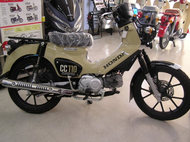 �z���_�N���X�J�u110�i�����������s�j�摜1