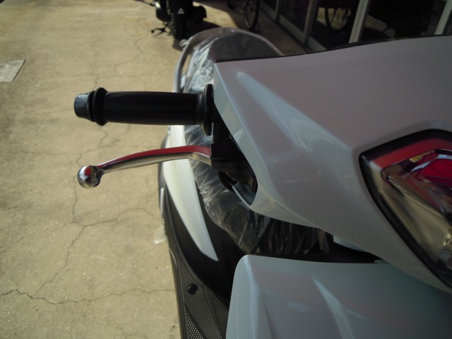 ���}�n�A�N�V�XZ�i���Q�����R�s�j�摜5