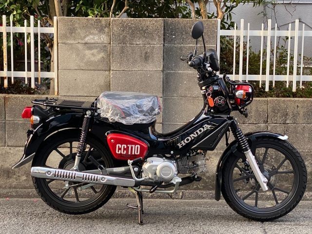 �z���_�N���X�J�u110�i���Q�����R�s�j�摜1