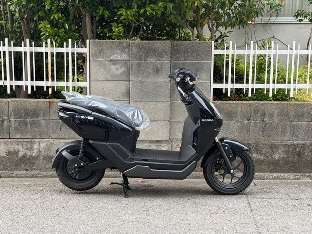 �z���_ICON e:�i���Q�����R�s�j�摜1