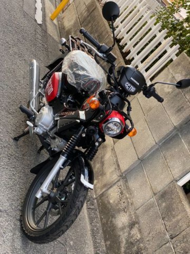 �z���_�N���X�J�u110�i���Q�����R�s�j�摜3