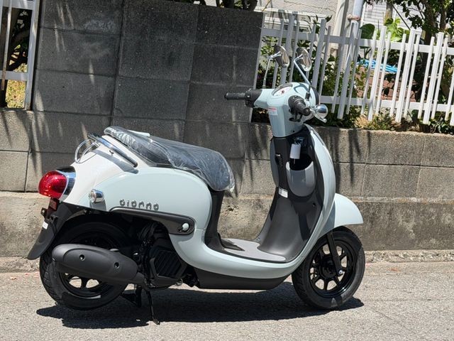 �z���_�W�����m�i���Q�����R�s�j�摜3