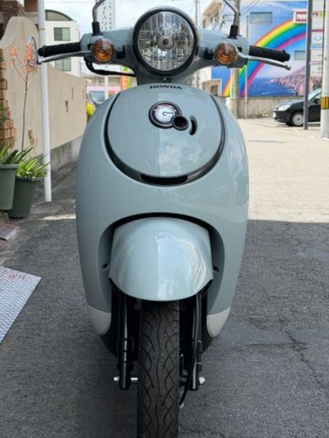 �z���_�W�����m�i���Q�����R�s�j�摜3