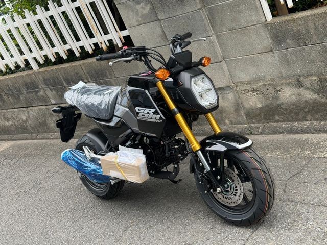 �z���_�O�����i���Q�����R�s�j�摜4