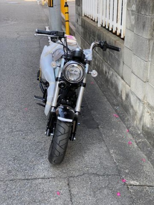 �z���_�W�����m�i���Q�����R�s�j�摜22