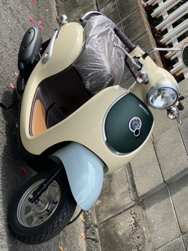 �z���_�W�����m�i���Q�����R�s�j�摜4