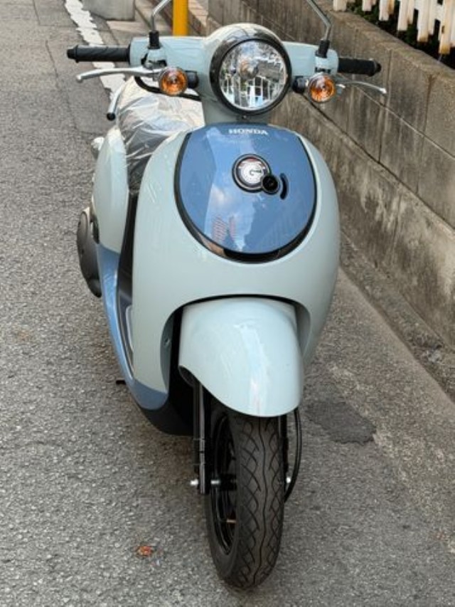 �z���_�W�����m�i���Q�����R�s�j�摜4