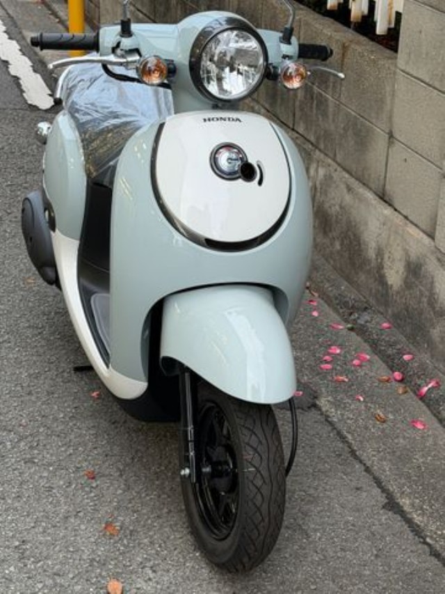 �z���_�W�����m�i���Q�����R�s�j�摜4