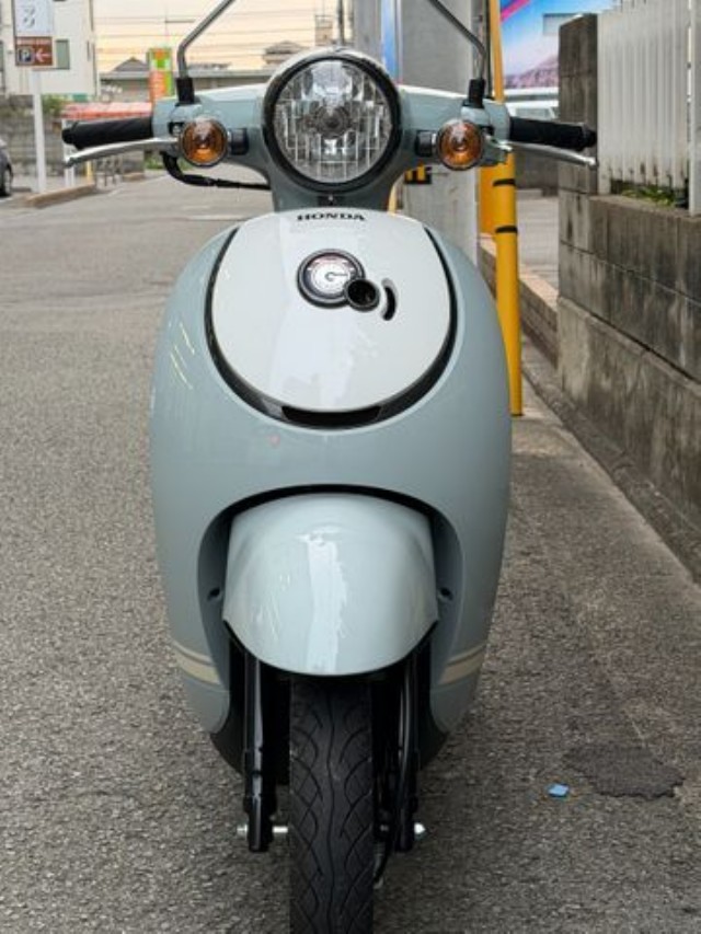 �z���_�W�����m�i���Q�����R�s�j�摜4