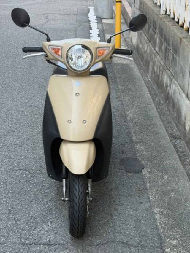 �X�Y�L���b�c�i���Q�����R�s�j�摜4