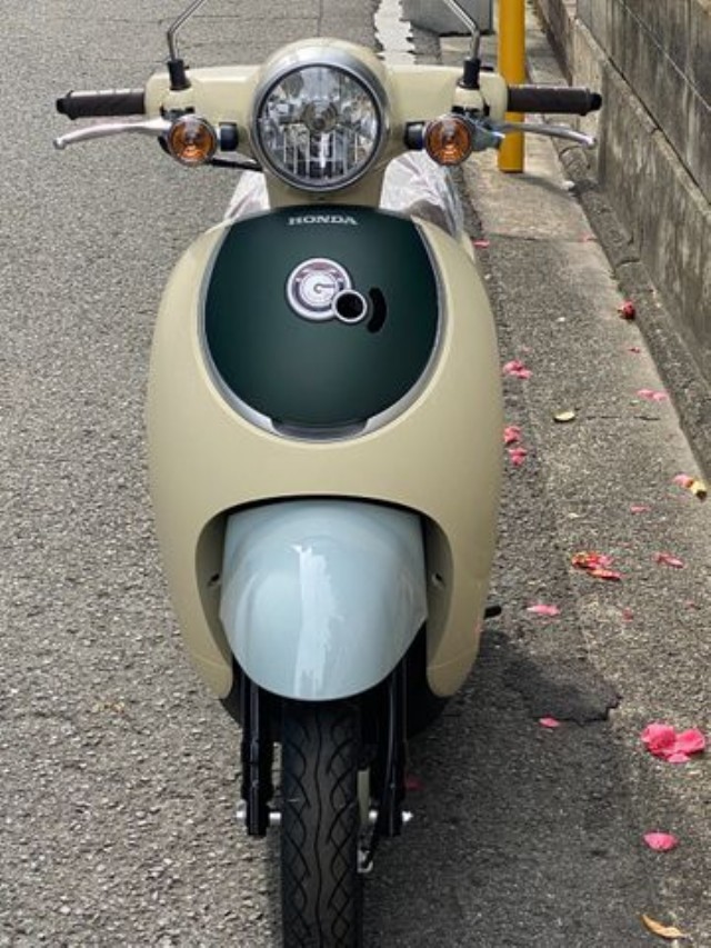 �z���_�W�����m�i���Q�����R�s�j�摜5