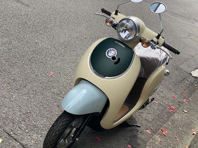 �z���_�W�����m�i���Q�����R�s�j�摜6