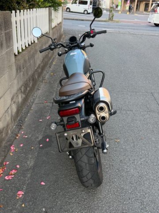 �z���_CL250�i���Q�����R�s�j�摜6