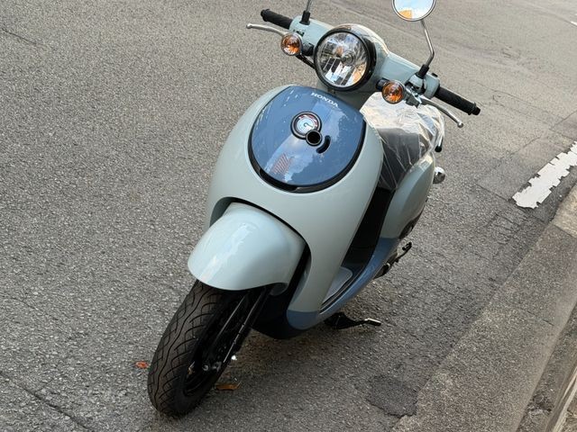 �z���_�W�����m�i���Q�����R�s�j�摜6