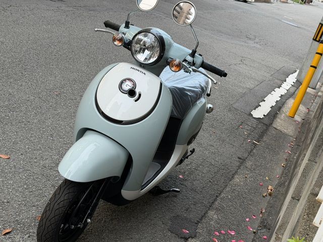 �z���_�W�����m�i���Q�����R�s�j�摜6