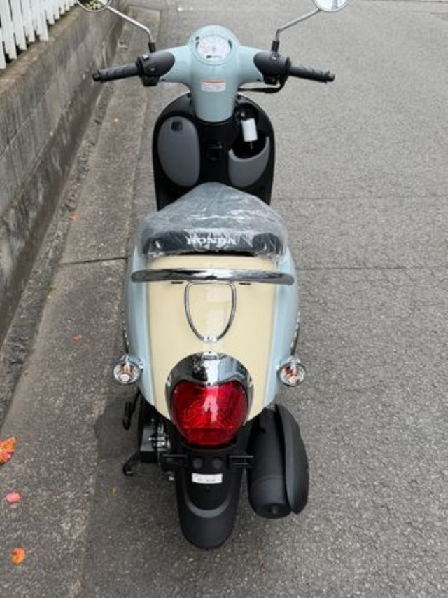 �z���_�W�����m�i���Q�����R�s�j�摜7