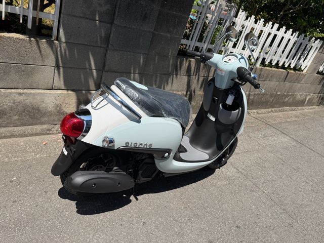 �z���_�W�����m�i���Q�����R�s�j�摜7