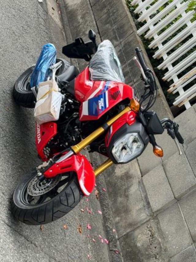 �z���_�O�����i���Q�����R�s�j�摜7