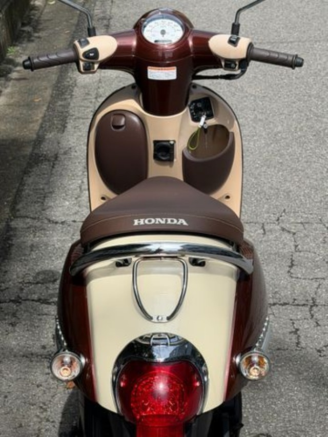 �z���_�W�����m�i���Q�����R�s�j�摜7