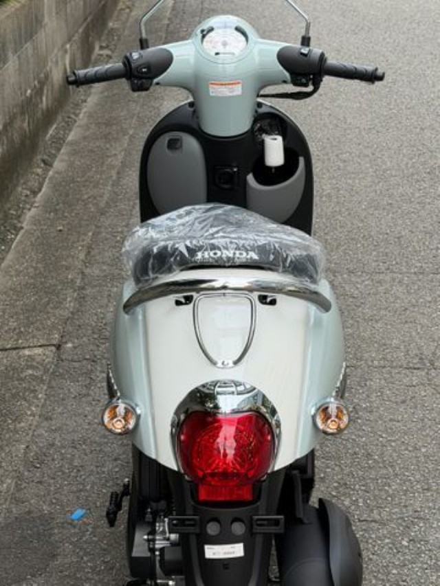 �z���_�W�����m�i���Q�����R�s�j�摜7