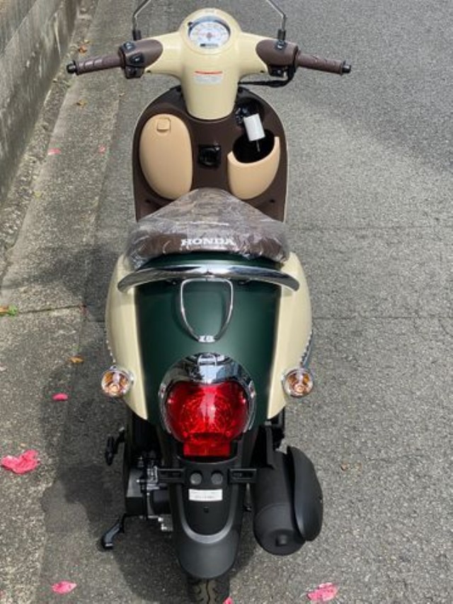 �z���_�W�����m�i���Q�����R�s�j�摜8