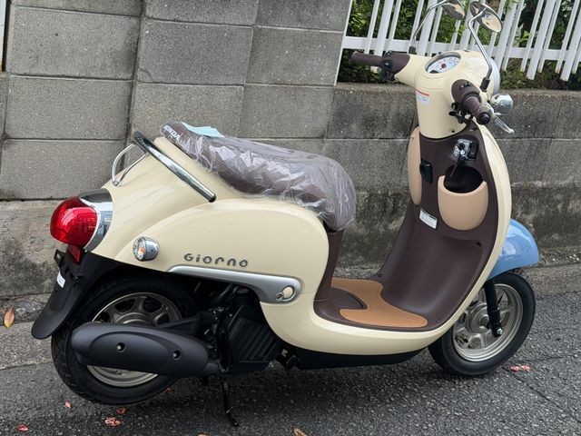 �z���_�W�����m�i���Q�����R�s�j�摜8