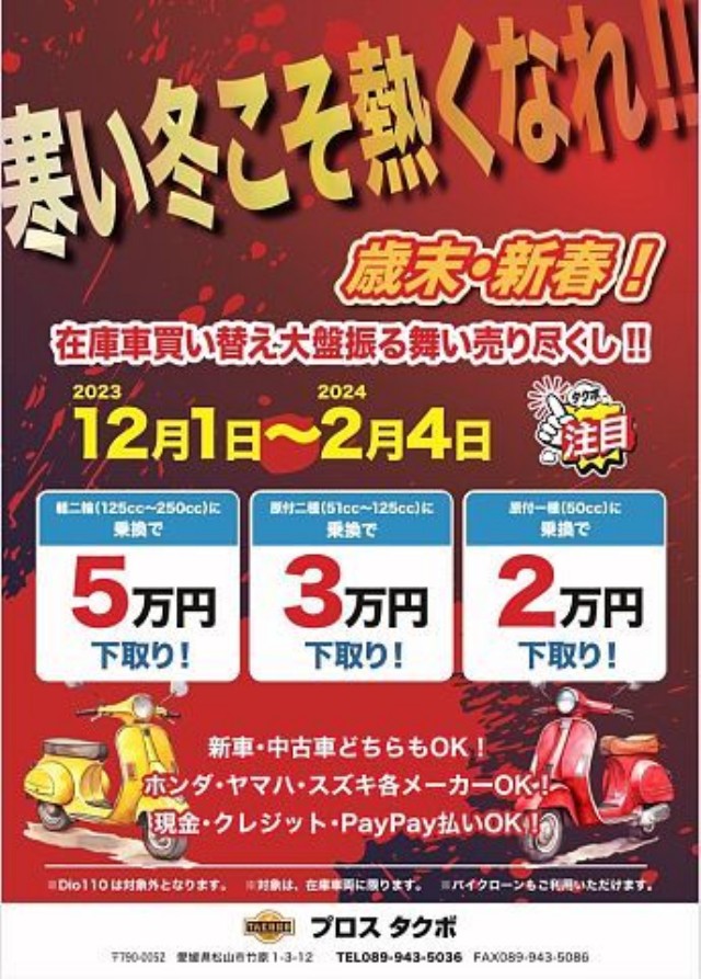 z_fBIiQRsj摜2