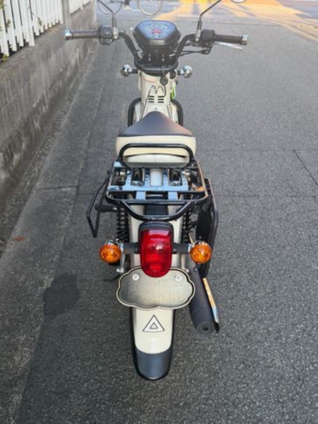 �z���_�N���X�J�u110�i���Q�����R�s�j�摜9