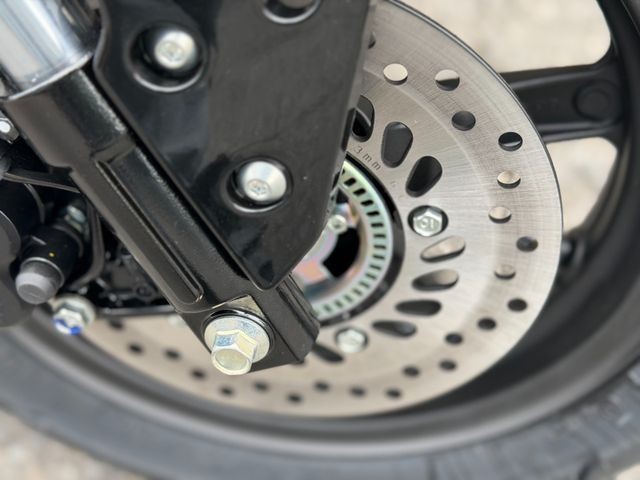 �z���_�O�����i���Q�����R�s�j�摜11