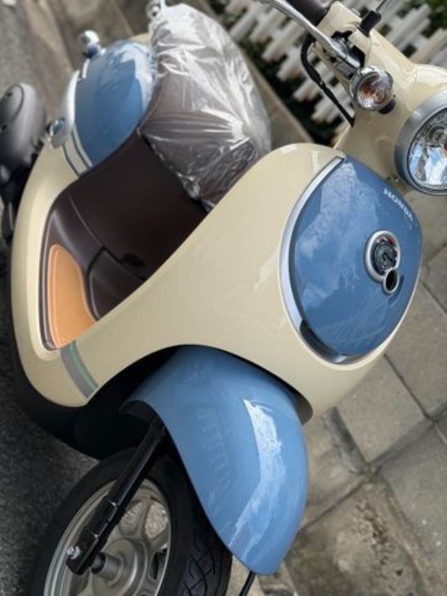 �z���_�W�����m�i���Q�����R�s�j�摜10