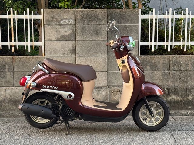 �z���_�W�����m�i���Q�����R�s�j�摜1