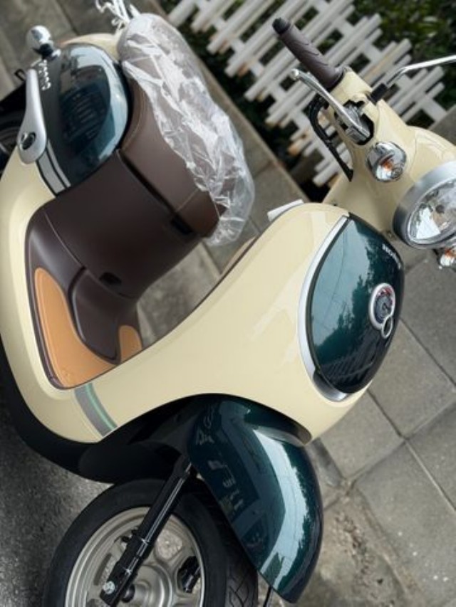 �z���_�W�����m�i���Q�����R�s�j�摜11