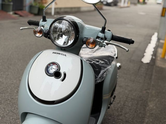 �z���_�W�����m�i���Q�����R�s�j�摜11