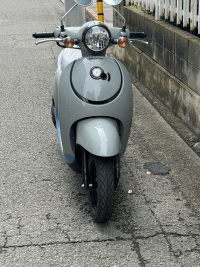 �z���_�W�����m�i���Q�����R�s�j�摜4