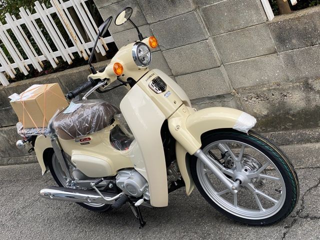 �z���_Super Cub 110 Lite�i���Q�����R�s�j�摜5