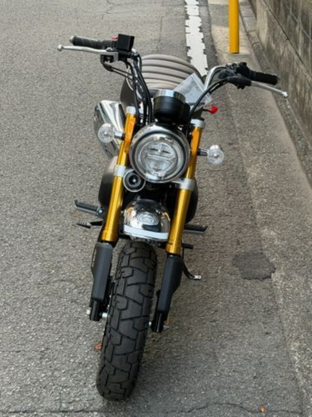 �z���_�����L�[125�i���Q�����R�s�j�摜5