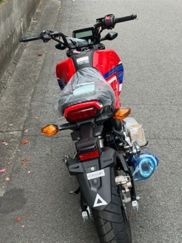 �z���_�O�����i���Q�����R�s�j�摜14