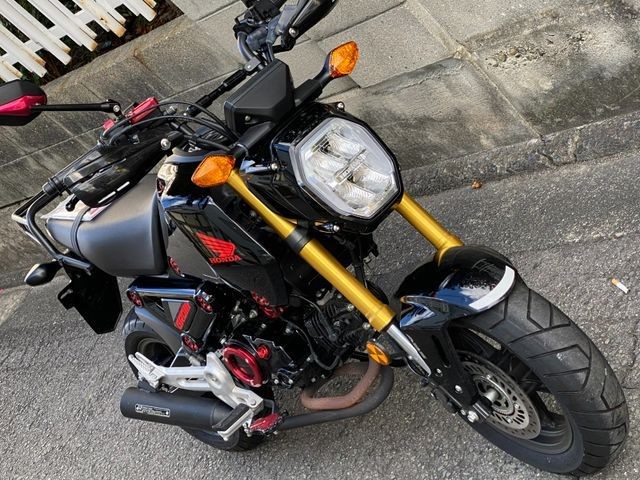 �z���_�O�����i���Q�����R�s�j�摜3