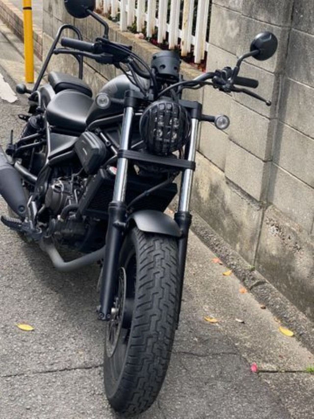 �z���_���u��250�i���Q�����R�s�j�摜4