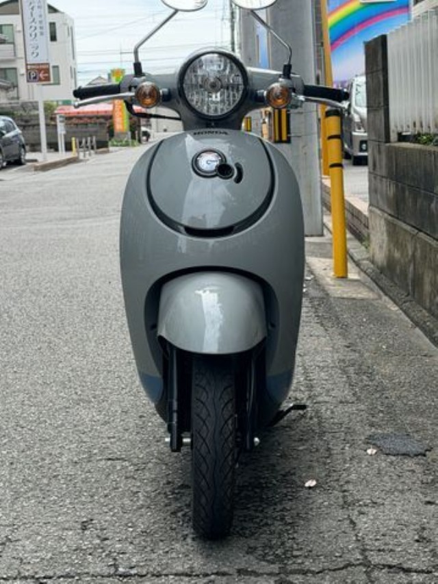 �z���_�W�����m�i���Q�����R�s�j�摜6