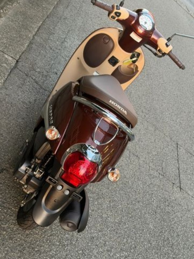 �z���_�W�����m�i���Q�����R�s�j�摜6