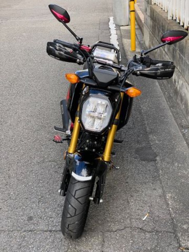 �z���_�O�����i���Q�����R�s�j�摜4